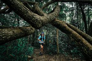 BIB: 
                            <button type="button" onclick="openModal(25664143)" class="btn btn-primary btn-sm float-right btn-popup" data-toggle="modal" data-target=".modal-high-quality">
                        <i class="fas fa-shopping-cart"></i> Add to Cart
                    </button>
                                            <button type="button" onclick="isThisMe(25664143, true)" class="btn btn-success btn-sm float-right btn-popup btn-isme hidden" data-toggle="tooltip" data-placement="bottom" title="นี่คือรูปของคุณใช่ไหม คลิกที่นี่เพื่อเอาเข้าอัลบั้ม">
                        <i class="fas fa-plus"></i> Add to album
                    </button>
                    <button type="button" onclick="isThisMe(25664143, false)" class="btn btn-warning btn-sm float-right btn-popup btn-isnotme hidden">
                        <i class="fas fa-ban"></i> Remove from album
                    </button>